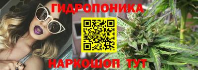сатива Лениногорск