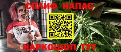 сатива Лениногорск