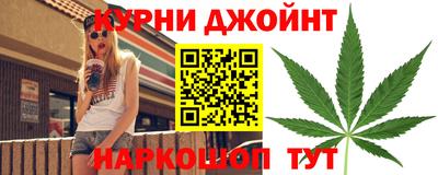 сатива Лениногорск