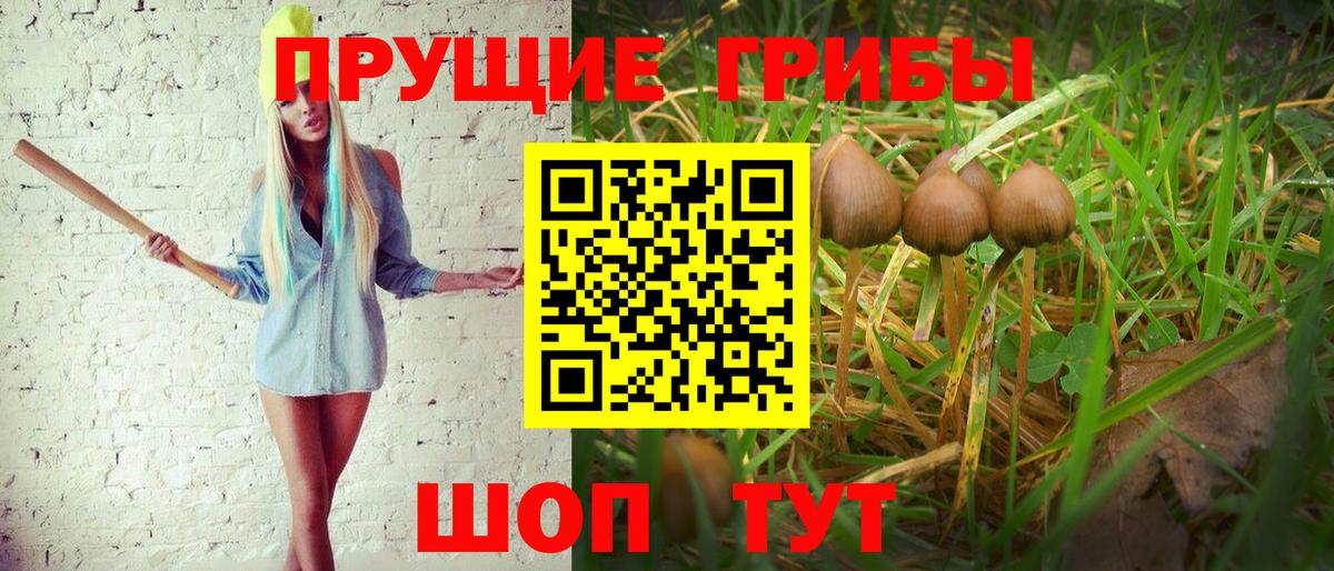 Галлюциногенные грибы мицелий  Галлюциногенные грибы Psilocybine cubensis  Брянск  Вход с VPN 