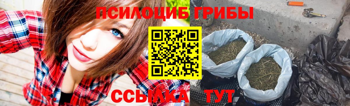 Галлюциногенные грибы Magic Shrooms Брянск
